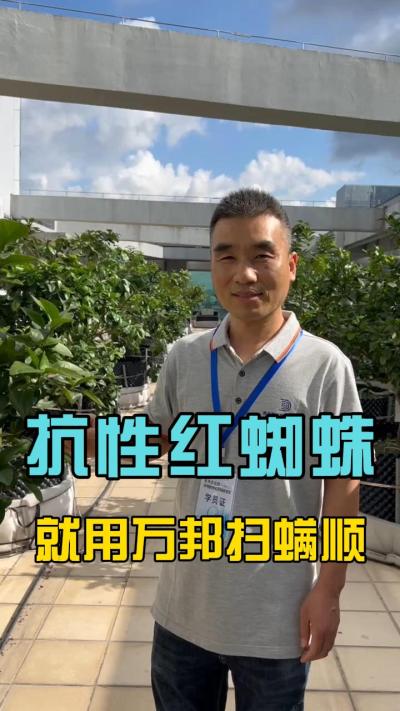各位农户，最近有没有受到红蜘蛛的的困扰？请试一下我们的扫满顺