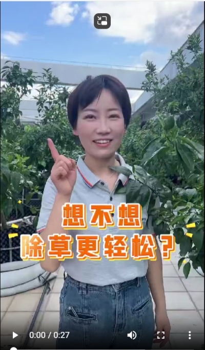 打了除草剂，死草慢，草死了两天又活了，怎么办？我教你一招