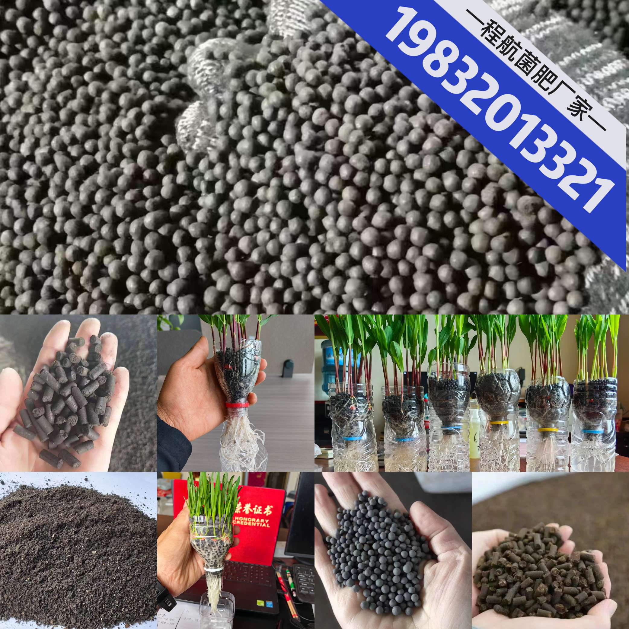 http://st-static1.rxxwl.com/forums/2025/06/25/17508210784306.jpeg