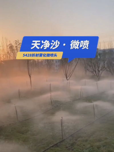 【天净沙&middot;微喷】枯藤老树昏鸦，草地仙境人家，地插微喷雾化，夕阳西下，灌溉，你问，我答！#5428折射雾化微喷头 #微喷 #华维集团