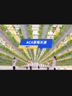 自由升降、追光生长。#ACA草莓天瀑，美爆了！向天再借500平！#ACA可控农业 #华维集团 #数字农业