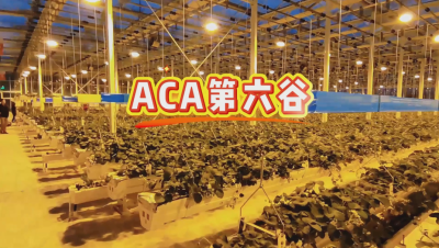 #ACA第六谷 模式，打造#ACA作物工厂，规划建园到栽培种植水肥管理一站式服务！#可控农业 #华维集团