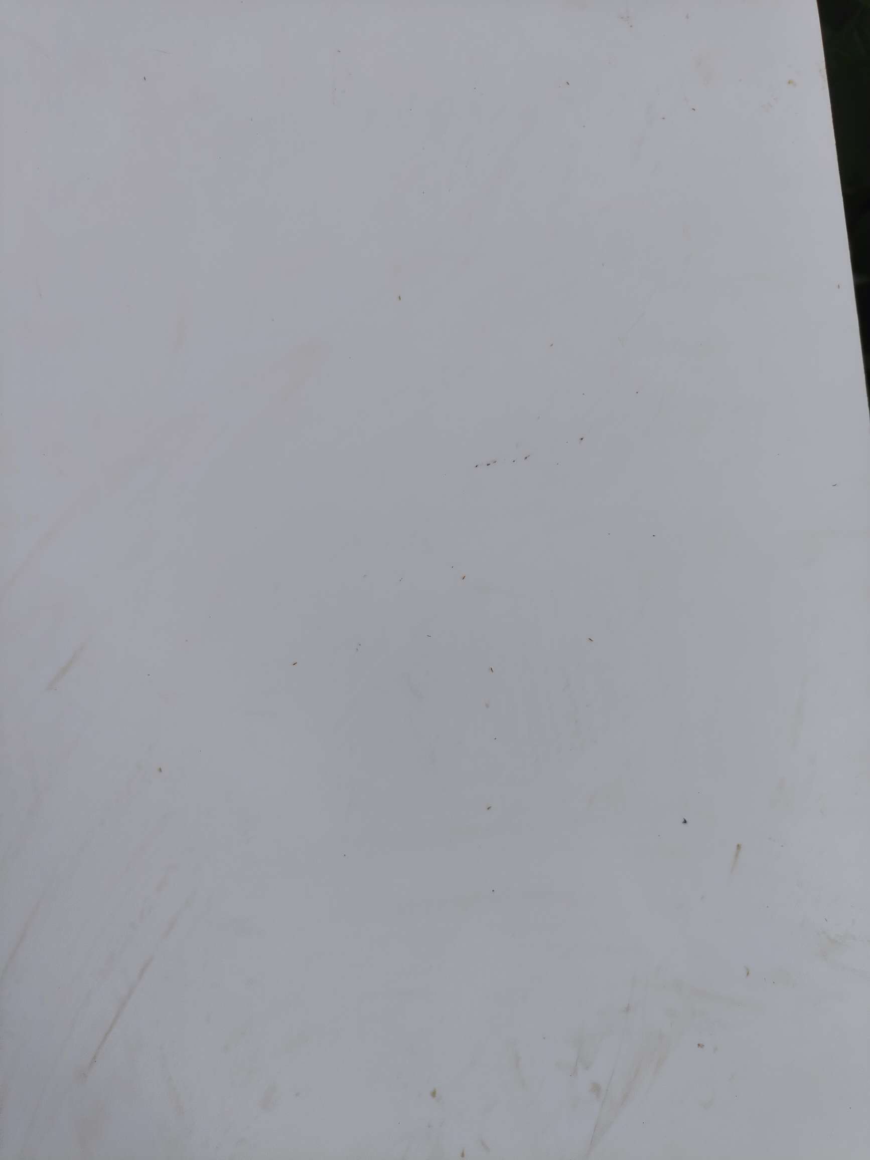 http://st-static1.rxxwl.com/forums/2025/08/18/17555288245629.jpeg