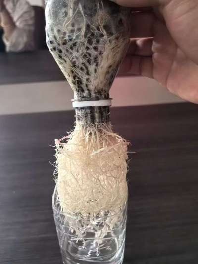 年销售量三十万吨的有机肥生产厂家，全国网点发货，资质齐全，正品保障！有机肥、生物菌肥、微生物肥料等