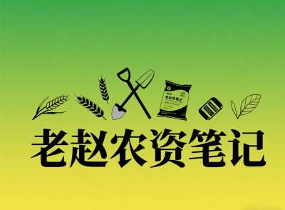 乡镇农资店对接厂家：不是否定代理，是找对&ldquo;有前景的小厂&rdquo;补增量
