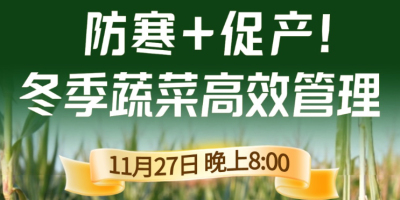 《细说农技》专家张宝林教冬季蔬菜防寒 + 促产高效管理，27 日晚 8 点！