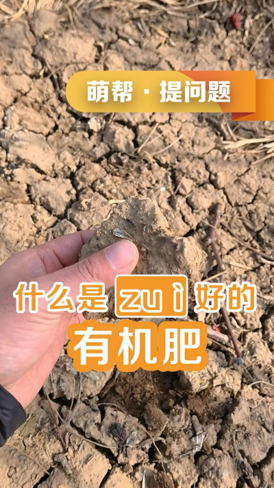 什么是最好的有机肥