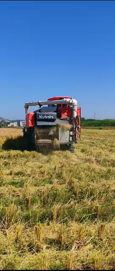 惠州基地，无人拖拉机收水稻了。