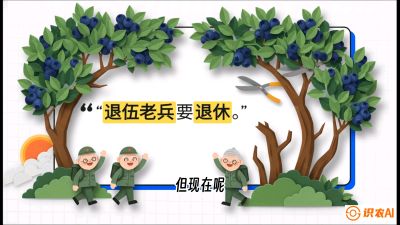 第7节：修剪决定产量（下）&mdash;&mdash;结果树的更新与疏果，课程：《蓝莓&ldquo;高产&rdquo;实战课：从选苗到丰收的10个关键点》