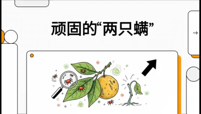 第二节：顽固&ldquo;两只满&rdquo;&mdash;&mdash;红蜘蛛与锈壁虱,课程：《柑橘十大病虫害：从入门到精通》