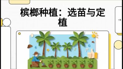 第01节：选苗与定植&mdash;&mdash;&ldquo;苗好一半收，底肥定千秋&rdquo;课程：《槟榔种植：从不懂到精通的10堂必修课》