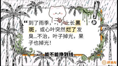 第05节：常见真菌病害&mdash;&mdash;&ldquo;炭疽与烂心，早防值千金&rdquo;《槟榔种植：从不懂到精通的10堂必修课》