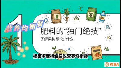 第07节：科学施肥&mdash;&mdash;&ldquo;氮磷钾配好，树壮果不倒
