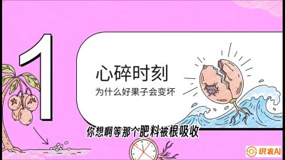 第08节：微量元素与保果&mdash;&mdash;&ldquo;补硼又补钙，果子不裂坏&rdquo;《槟榔种植：从不懂到精通的10堂必修课》