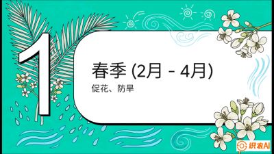 第10节：周年农事日历&mdash;&mdash;&ldquo;跟着节气走，丰产在手头&rdquo;《槟榔种植：从不懂到精通的10堂必修课》