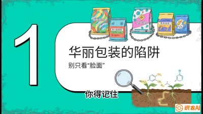 第4节：【黄金配方】底肥里的&ldquo;铁三角&rdquo;与&ldquo;微量雷区&rdquo;课程：《柑橘底肥&ldquo;翻身账&rdquo;：从改土到高产的实战全书》