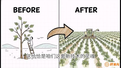 第02节：把树变成草&mdash;&mdash;&ldquo;草本化密植&rdquo;技术，课程：《桑海淘金：桑树高产与蚕桑安全进阶实战课》