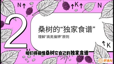 第04节：地下核动力&mdash;&mdash;桑树专用水肥一体化配方，课程：《桑海淘金：桑树高产与蚕桑安全进阶实战课》