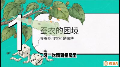 第06节：虫口夺叶（上）&mdash;&mdash;物理与生物防控绝技，课程《桑海淘金：桑树高产与蚕桑安全进阶实战课》