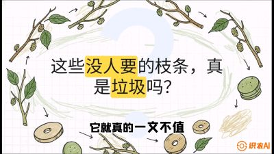 第12节：变废为宝&mdash;&mdash;循环农业实操，课程：《桑海淘金：桑树高产与蚕桑安全进阶实战课》