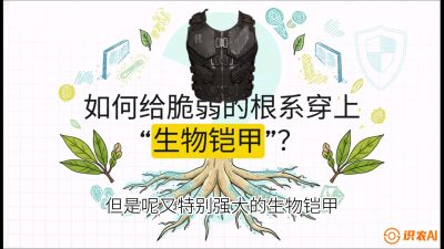 第三节：国产榴莲突围战：根系堡垒，菌根微生态构建与黄金定植窗口，课程：《国产榴莲突围战：从泰国经验到中国实操的8堂必修课（高阶实战版）》