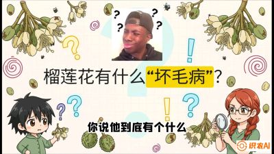 第六节：榴莲的午夜战事，夜间授粉战与花果期避雨策略，课程：《国产榴莲突围战：从泰国经验到中国实操的8堂必修课（高阶实战版）》