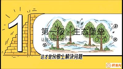 第七节：榴莲防御战：病虫害三级立体防控，疫霉菌与虫害的立体封锁线，课程：《国产榴莲突围战：从泰国经验到中国实操的8堂必修课（高阶实战版）》