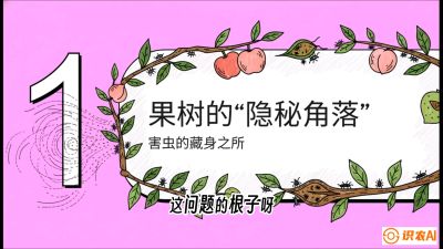 第3节：无人机专治&ldquo;打不透&rdquo;&mdash;&mdash;果树与高杆作物的穿透技巧，课程：《无人机植保搞钱必修课：从&ldquo;瞎飞&rdquo;到&ldquo;懂行&rdquo;的6步进阶》