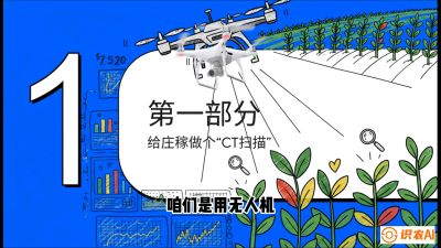 第5节：无人机也能&ldquo;看病抓药&rdquo;&mdash;&mdash;处方图与变量施肥入门，课程：《无人机植保搞钱必修课：从&ldquo;瞎飞&rdquo;到&ldquo;懂行&rdquo;的6步进阶》