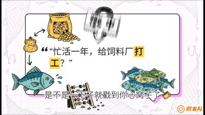 第一节：【选品与规划】如果不养&ldquo;四大家鱼&rdquo;，我们还能养什么？,课程：《黄金鳞甲：2025中国淡水鱼高效养殖实战营》