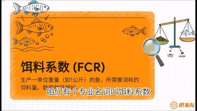 第五节：【高端单品&middot;鳜鱼】&ldquo;饲料鳜&rdquo;技术：打破吃活饵的高成本魔咒，课程：《黄金鳞甲：2025中国淡水鱼高效养殖实战营》