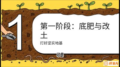 第6节（统筹篇）： 省钱又增产的&ldquo;黄金配比&rdquo;&mdash;&mdash;不同作物全年的养土实操方案，课程：《揭秘土壤的秘密：让土地帮你赚钱》#识农AI