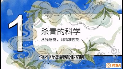 第05节（加工篇）：决胜2分钟：用&ldquo;数字温控&rdquo;破解杀青不匀，复刻大师级手工口感，课程：《茶金时代：从&ldquo;看天吃饭&rdquo;到&ldquo;精准控局&rdquo;的茶叶高产提质实战课》
