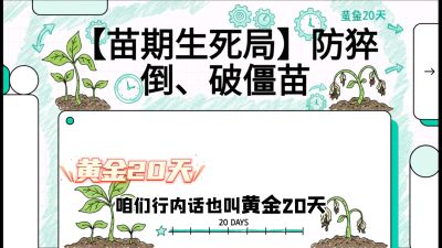 第2节：【苗期生死局】防猝倒、破僵苗，决定后期产量的&ldquo;黄金20天&rdquo;，课程：《辣椒种植实战特训营，从工业辣椒到精品小米辣，教你如何把&ldquo;草&rdquo;种成&ldquo;金&rdquo;》