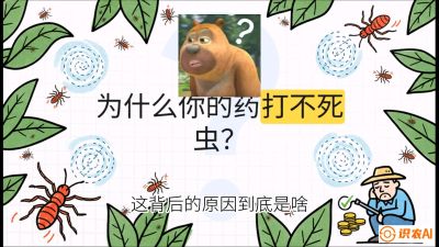 第4节：【虫害歼灭战】打不死的蓟马、隐形的茶黄螨：抗性时代的&ldquo;混配绝杀&rdquo;，课程：《辣椒种植实战特训营，从工业辣椒到精品小米辣，教你如何把&ldquo;草&rdquo;种成&ldquo;金&rdquo;》