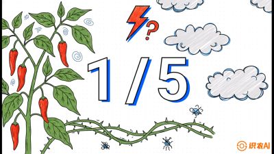 第6节：【花果爆发术】落花落果的五大元凶，与&ldquo;三喷一保&rdquo;坐果黑科技，课程：《辣椒种植实战特训营，从工业辣椒到精品小米辣，教你如何把&ldquo;草&rdquo;种成&ldquo;金&rdquo;》