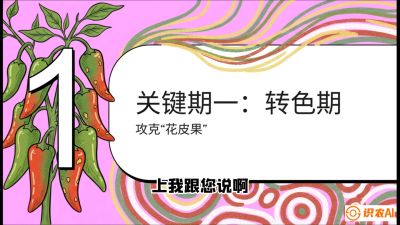 第8节：【小米辣线椒专场】颜值即正义！防花皮、防炭疽，打造收购商抢着要的&ldquo;精品果&rdquo;，课程：《辣椒种植实战特训营，从工业辣椒到精品小米辣，教你如何把&ldquo;草&rdquo;种成&ldquo;金&rdquo;》