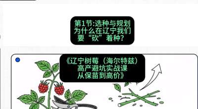 第一节： 选种与规划&mdash;&mdash;为什么在辽宁我们要&ldquo;砍&rdquo;着种？，课程：《辽宁树莓（海尔特兹）高产避坑实战课：从保苗到高价》