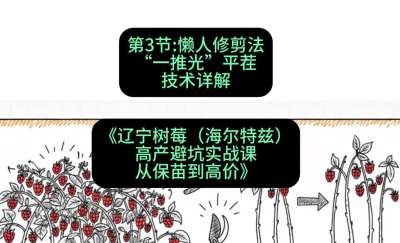 第三节： 懒人修剪法&mdash;&mdash;&ldquo;一推光&rdquo;平茬技术详解，课程：《辽宁树莓（海尔特兹）高产避坑实战课：从保苗到高价》