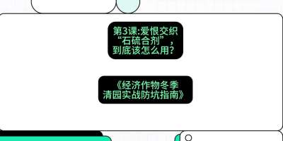 第3节：【核武药剂】爱恨交织的&ldquo;石硫合剂&rdquo;，到底该怎么用？，课程：《经济作物冬季清园&middot;实战防坑指南》#识农AI