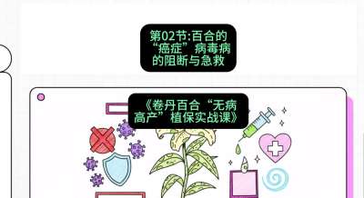 第02节：百合的&ldquo;癌症&rdquo;&mdash;&mdash;病毒病的阻断与急救，课程：《卷丹百合&ldquo;无病高产&rdquo;植保实战课》#识农AI