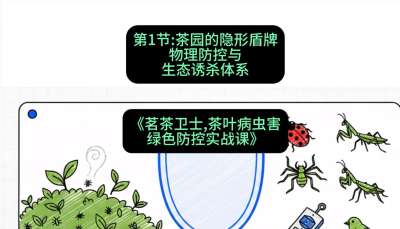 第01节：茶园的&ldquo;隐形盾牌&rdquo;&mdash;&mdash;物理防控与生态诱杀体系，课程：《茗茶卫士&mdash;&mdash;茶叶病虫害绿色防控实战课》#识农AI