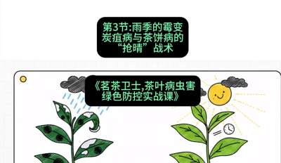 第03节：雨季的霉变&mdash;&mdash;炭疽病与茶饼病的&ldquo;抢晴&rdquo;战术，课程：《茗茶卫士&mdash;&mdash;茶叶病虫害绿色防控实战课》#识农AI