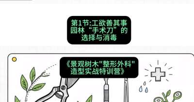 第01节：工欲善其事&mdash;&mdash;园林&ldquo;手术刀&rdquo;的选择与消毒，课程：《景观树木&ldquo;整形外科&rdquo;造型实战特训营》#识农AI