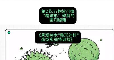 第02节：万物皆可盘&mdash;&mdash;&ldquo;精球形&rdquo;修剪的圆润秘籍，课程：《景观树木&ldquo;整形外科&rdquo;造型实战特训营》#识农AI