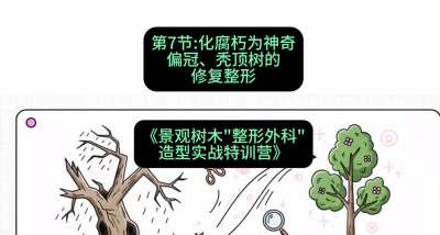 第07节：化腐朽为神奇&mdash;&mdash;偏冠、秃顶树的修复整形，课程：《景观树木&ldquo;整形外科&rdquo;造型实战特训营》#识农AI