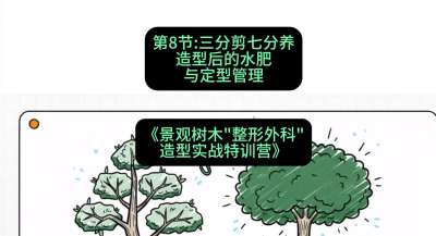 第08节：三分剪七分养&mdash;&mdash;造型后的水肥与定型管理，课程：《景观树木&ldquo;整形外科&rdquo;造型实战特训营》#识农AI