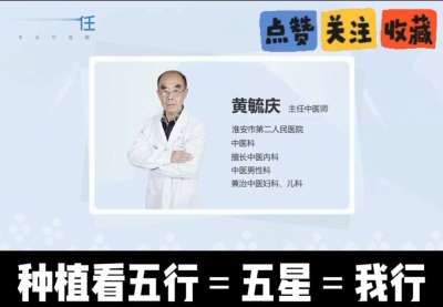 中药材淫羊藿怎么种？听专家一次讲明白！不挑地块好管理，耐寒耐旱省心省力，新手也能轻松上手，药用价值高、市场需求稳，妥妥的增收好品种～ 从生长习性到采收要点，干货满满无废话，种植疑问直接问，一对一答疑解