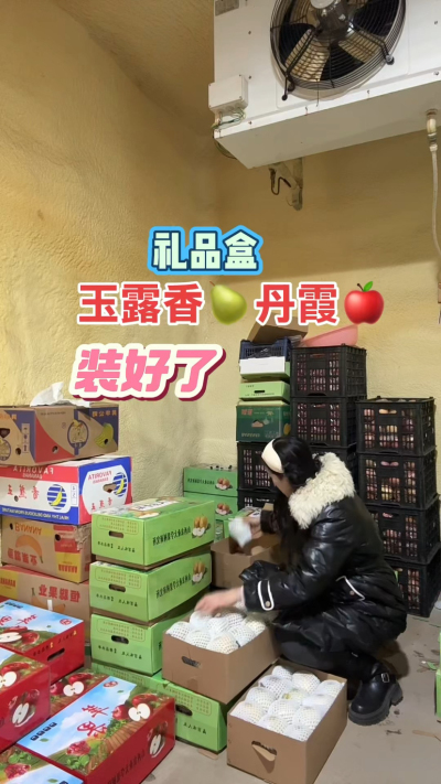 玉露香梨，丹霞苹果礼品盒