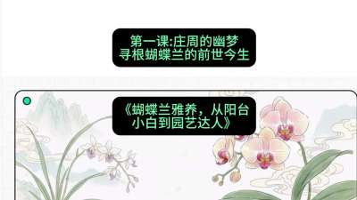 第一节：庄周的幽梦：寻根蝴蝶兰的前世今生，课程：《蝴蝶兰雅养六讲：从阳台小白到园艺达人》#识农AI